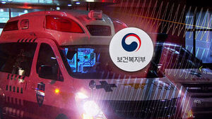 '임신부 뺑뺑이' 태아 사망&hellip;모자의료센터 6곳으로 확대