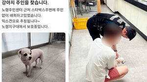 홀로 떠도는 모습에 "이상한데"&hellip;무사히 가족 품으로