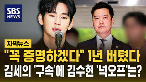 [자막뉴스] "꼭 증명하겠다" 1년 버텼다..김세의 구속에 김수현 '넉오프'는?