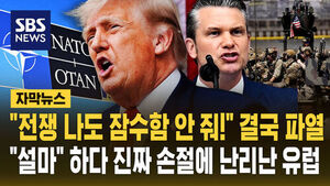 나토 손절