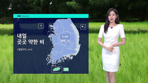 [날씨] 흐린 하늘에 더위 '주춤'&hellip;'5mm 안팎' 약한 비