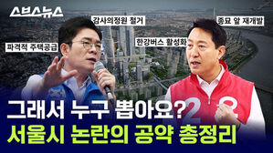그래서 누구 뽑아요? 서울시 논란의 공약 총정리