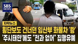[자막뉴스] 횡단보도 건너던 임산부 화물차 '쾅'&hellip;'주시 태만'에도 "전과 없어" 집행유예