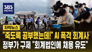 AI 폭격 회계사