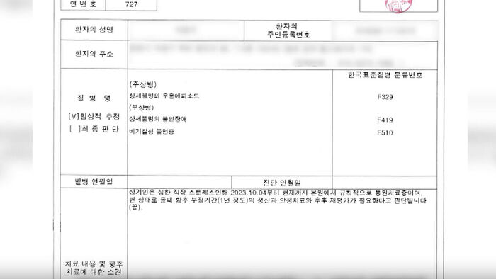 피해자 A 씨의 진단서