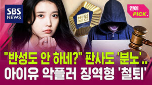 아이유 악플러 선고