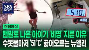 [현장영상] 51℃의 수돗물, 박쥐도 '실신' 인도 덮친 '재앙급 폭염'