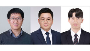 부산대 연구진, 미세 플라스틱 '뇌 이동 경로' 규명