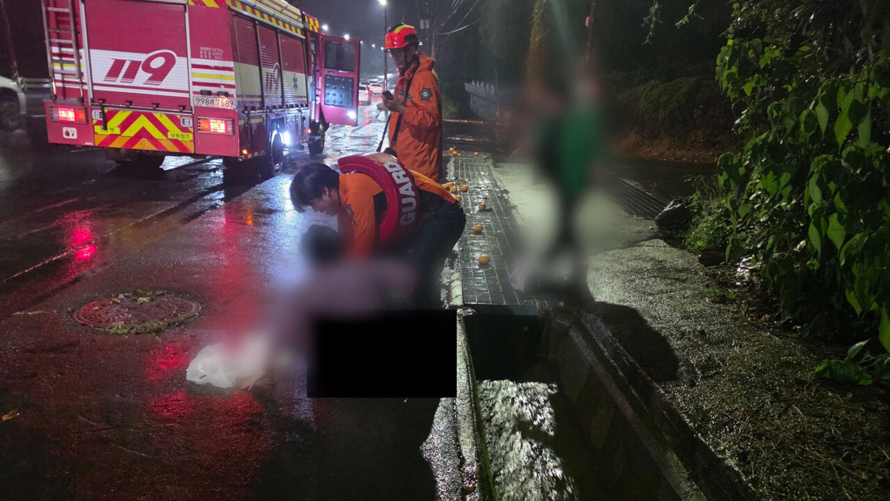 불어난 물에 휩쓸린 70대 여성 구조하는 119 구조대원 (사진=제주도소방안전본부 제공, 연합뉴스)