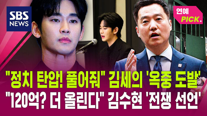 김수현 김세의