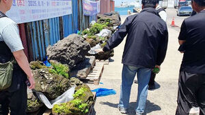 "제주도의 보물을 어디로?"&hellip;육지로 빼내려다 딱 걸렸다