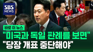[바로이뉴스] "미국과 독일 판례를 보면".."당장 개표 중단해야"