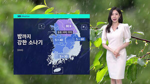 [날씨] 곳곳 '요란한 소나기'&hellip;최대 80mm 이상