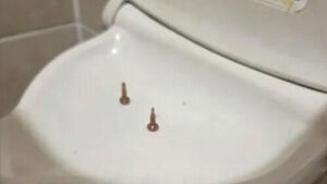 "변기 위에 일부러?"&hellip;대형마트 화장실 갔다 '화들짝'