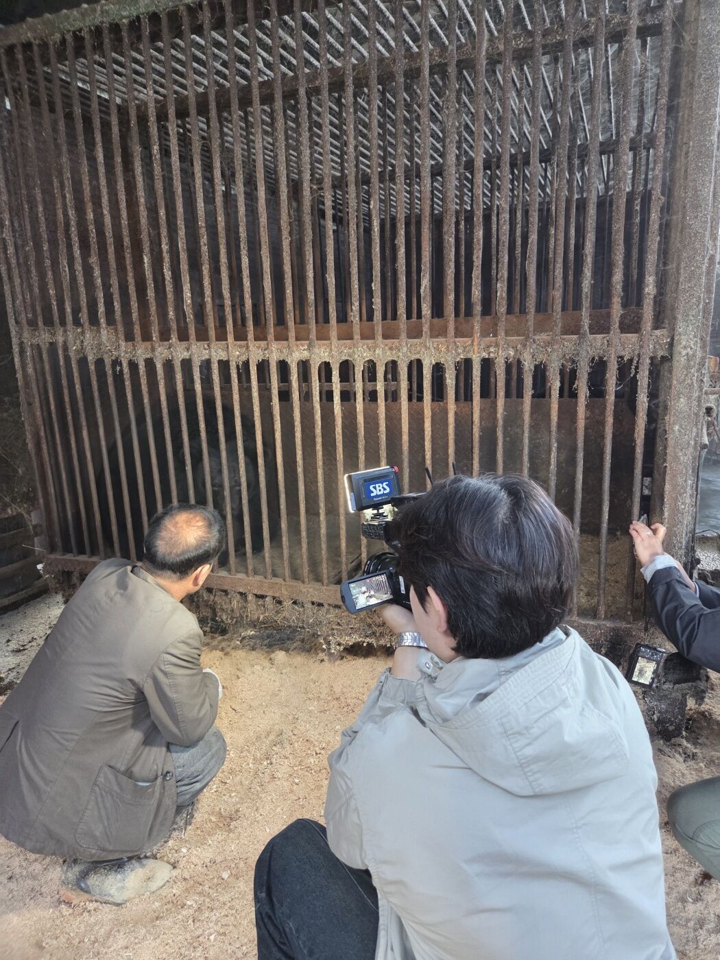 곰 사육 현장 취재
