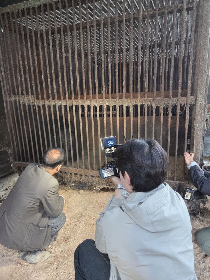 곰 사육 현장 취재