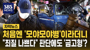 [자막뉴스] 처음엔 '모야모야병'이라더니&hellip;"죄질 나쁘다" 판단에도 '금고형' 이유는?