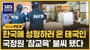 [에디터픽] 한국에 성형하러 온 태국인..국정원 '참교육' 불씨 됐다