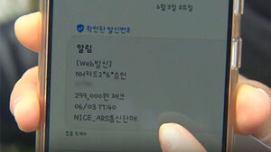 "쓴 적도 없는데" 피해 속출&hellip;'29만 9천 원' 공포의 문자
