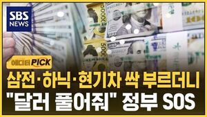[에디터픽] 삼전&middot;하닉&middot;현기차 싹 부르더니&hellip;"달러 풀어줘" 정부 SOS