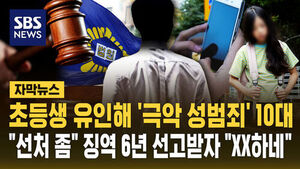 Teenager Sentenced to 6 Years for Heinous Sex Crimes Against Elementary Student, Outburst in Court
