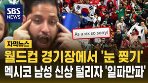 [자막뉴스] 월드컵 경기장 한국인 뒤에서 '눈 찢기'&hellip;"멕시코 토목공학회장?" 신상 털리자 '일파만파'