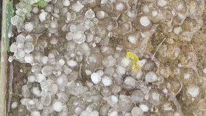 Hailstones About 1cm in Diameter Fall in Paju, Gyeonggi Province; "No Damage Reported"