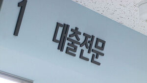 Debt-Financed Investment Fever Persists: Outstanding Balance of Line-of-Credit Loans at Top 5 Banks Hits 43 Trillion Won