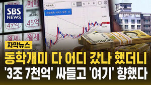 [자막뉴스] 동학개미 다 어디 갔나 했더니&hellip;'3조 7천억' 싸들고 '강남 3구' 향했다