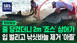 [현장영상] '거대한' 상어가 낚싯줄에&hellip;미국 어부의 발 빠른 대처