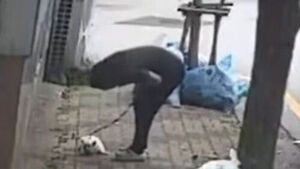 '등에 멍투성이' 광주 학대 반려견, 동물단체가 구조