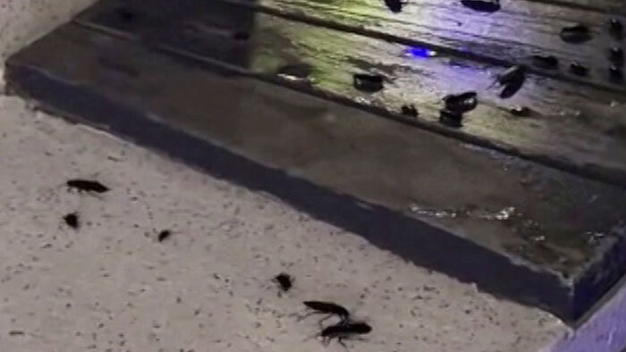 A Major Seoul Landmark… Shocking Video Captured at Night