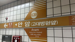 Carbon Dioxide Leak at Anam Station on Subway Line 6; Trains Temporarily Bypassed Station