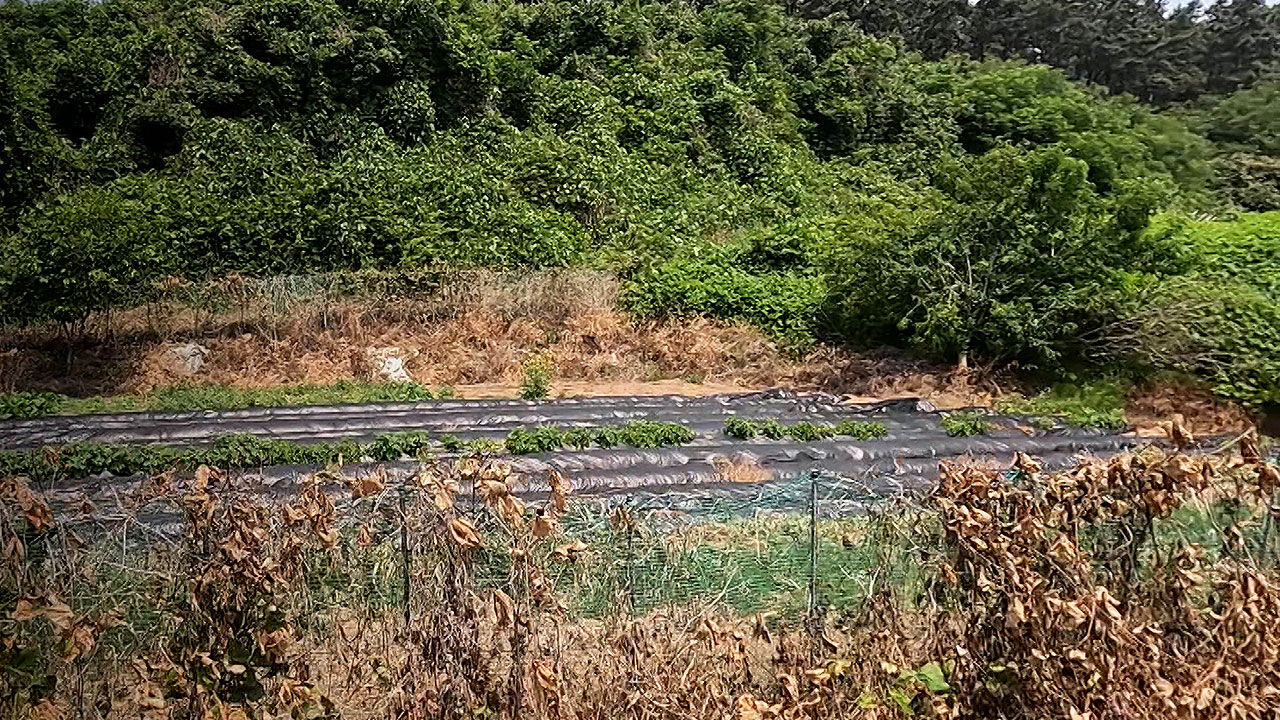 휑한 현장