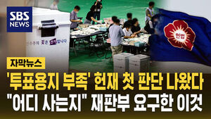 Constitutional Court Issues First Ruling on 'Ballot Shortage' Case: Why It Was Dismissed