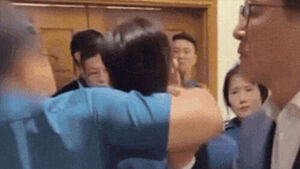 Police Investigating Alleged Assault Involving Ruling Party Aide