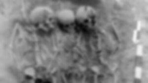 Siberian Hunter-Gatherers Also Died in Mass Plague Outbreaks 5,500 Years Ago