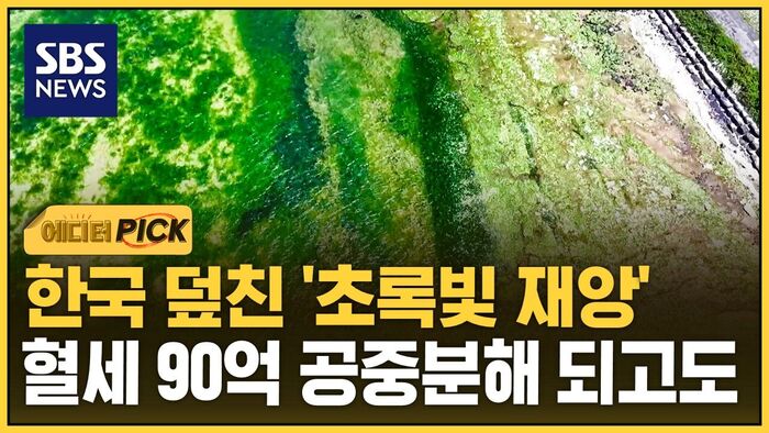 [Editor's Pick] 'Green Disaster' Sweeps Korea: 9 Billion Won in Taxpayer Money Wasted, Yet No Solution in Sight