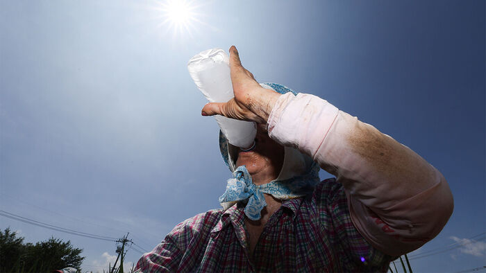 Heat-Related Illnesses Near 300 Amid Scorching Heat, 1.5 Times Higher Than Last Year