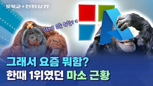 AI 때문에 마이크로소프트 망한다 vs 오히려 강해진다