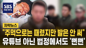 [자막뉴스] "주먹으로는 때렸지만 발은 안 써"&hellip;유튜브 아닌 법정에서도 '뻔뻔'