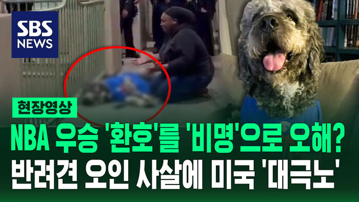 Outrage After Police Fatally Shoot Dog Mistaken for Threat During Basketball Celebration