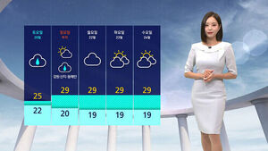Heatwave During the Day, Rain at Night... Up to 250mm of Rainfall Expected in Jeju