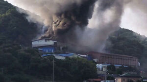 Fire at Boryeong Pig Farm Kills Over 1,900 Pigs