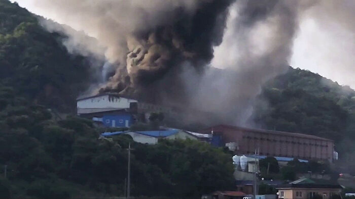 Fire at Boryeong Pig Farm Kills Over 1,900 Pigs