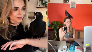 "Ready to Go Out?" The 'Pigeon Girls' Taking Over New York