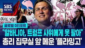 [글로벌D리포트] "알바니아, 트럼프 사위에게 못 팔아"&hellip;총리 집무실 앞 메운 '플라밍고'