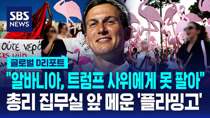 Global D Report: "Cannot Sell Albania to Trump's Son-in-Law"... 'Flamingos' Fill the Space in Front of the Prime Minister's Office