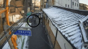 Driver in His 70s Acquitted of Hit-and-Run After Striking 8-Year-Old in Alleyway