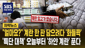 [자막뉴스] "얼마요?" 계란 한 판 담으려다 '화들짝'&hellip;'특단 대책' 오늘부터 '하얀 계란' 푼다